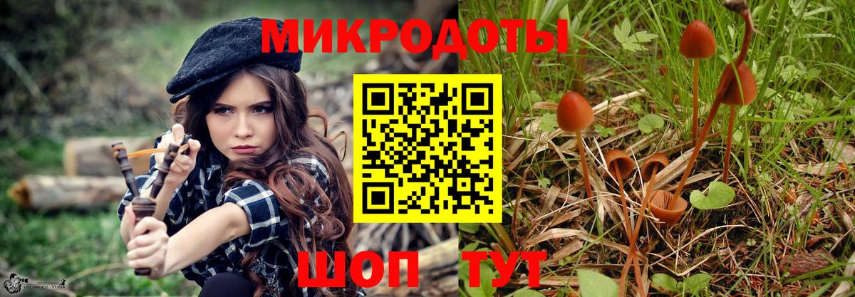 Алексин  Псилоцибиновые грибы прущие грибы  купить наркотик  Вход с VPN 